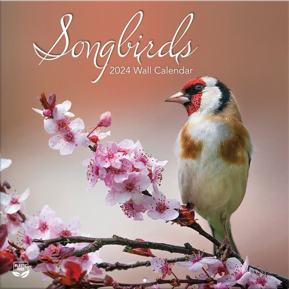 Songbirds 2024 Wall Calendar Main Image