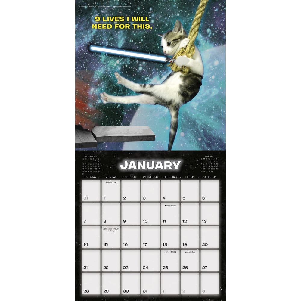 Cat Wars 2024 Mini Wall Calendar