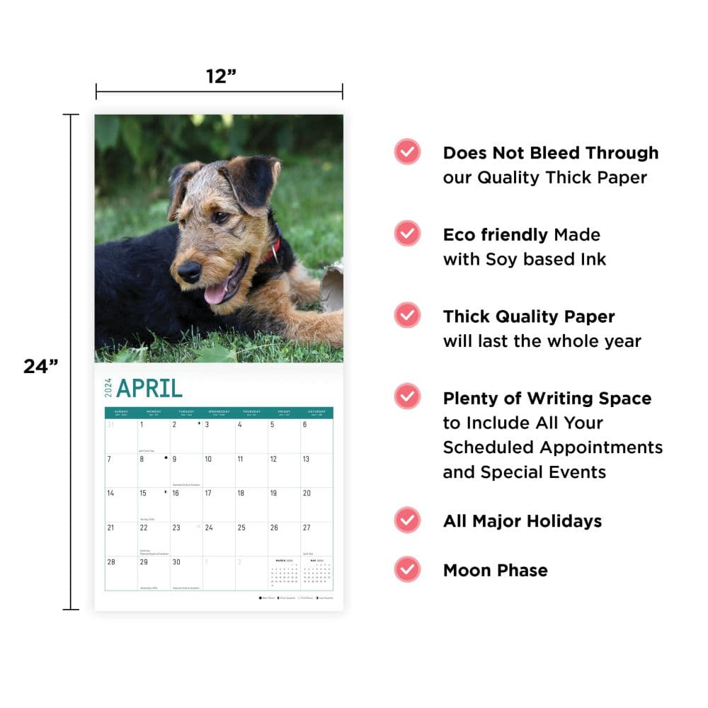Airedale Terriers 2024 Wall Calendar Seventh Alternate Image width=&quot;1000&quot; height=&quot;1000&quot;