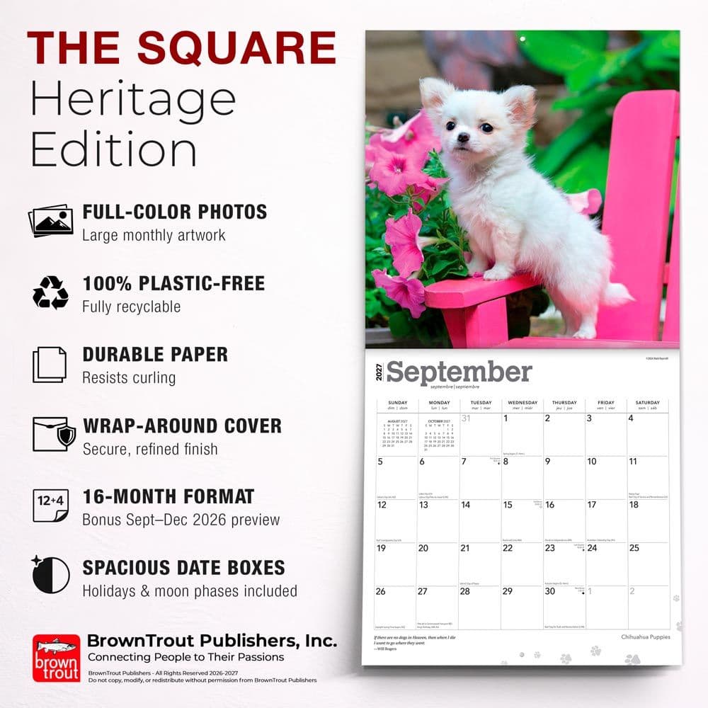 Chihuahua Puppies 2027 Wall Calendar Fifth Alternate Image