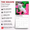 image Chihuahua Puppies 2027 Wall Calendar Fifth Alternate Image