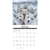image Animal Selfies 2026 Wall Calendar Second Alternate Image