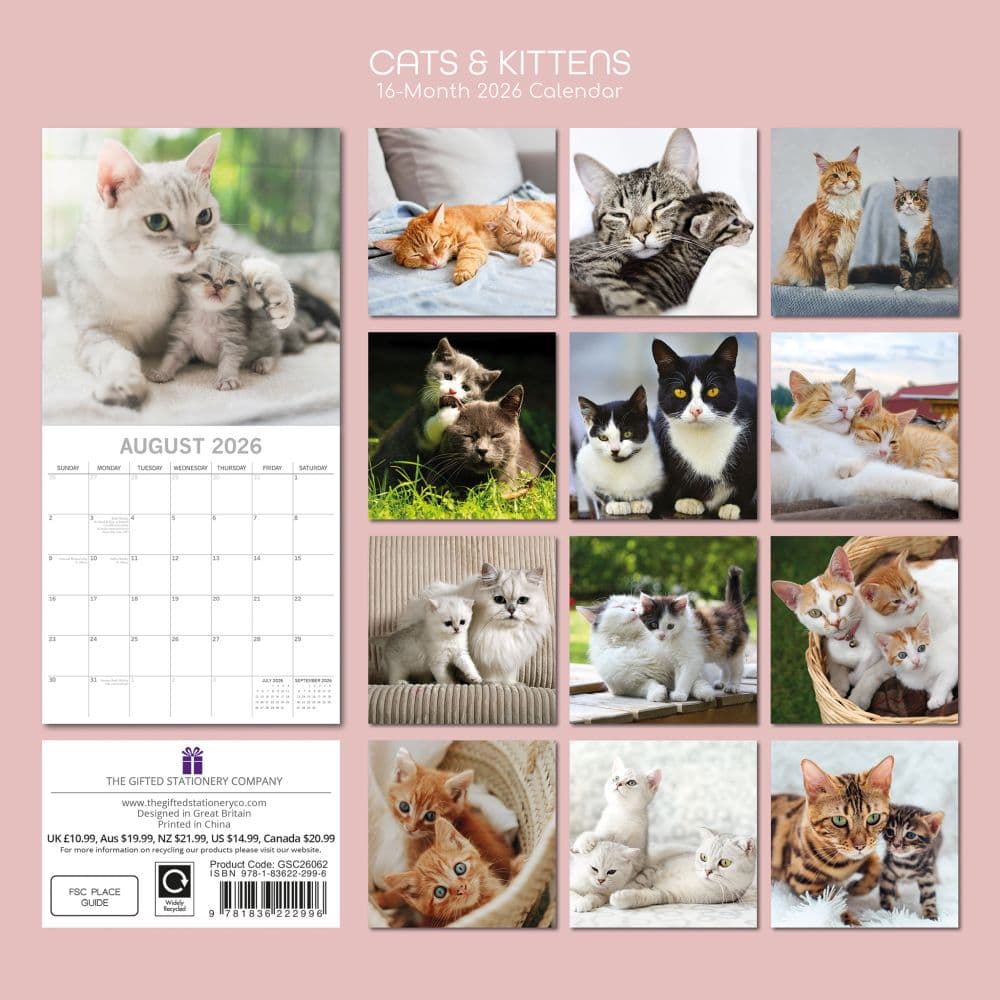 Cats and Kittens 2026 Wall Calendar First Alternate Image
