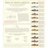 image Trout of North America 2026 Wall Calendar Second Alternate image