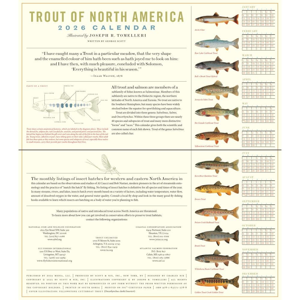 Trout of North America 2026 Wall Calendar Second Alternate image