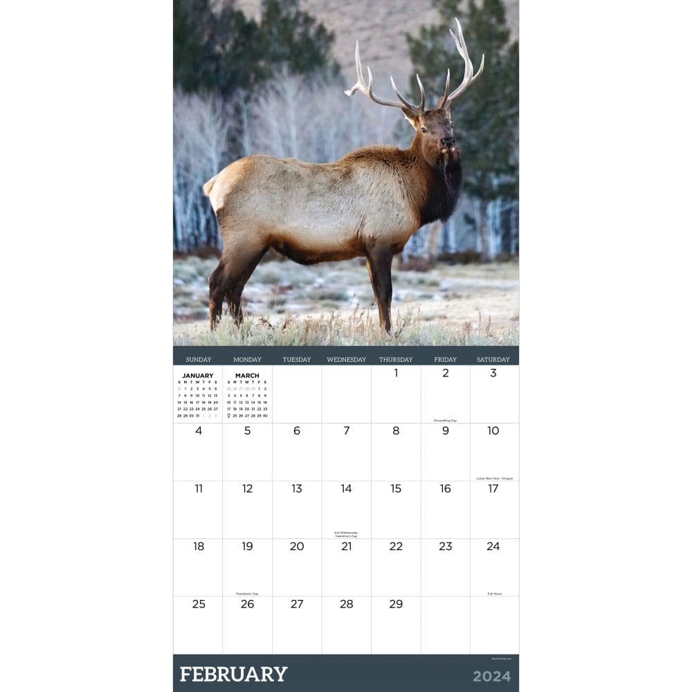 Deer 2025 Wall Calendar