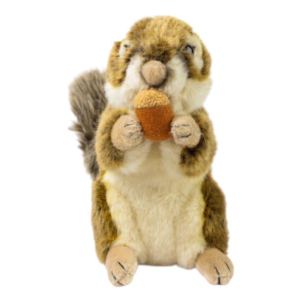 Standing Squirrel Plush 7 Inch front