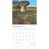 image America 2025 Wall Calendar Third Alternate Image width=&quot;1000&quot; height=&quot;1000&quot;