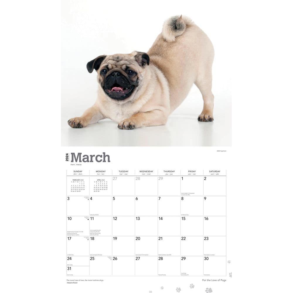 Pugs Deluxe 2025 Wall Calendar