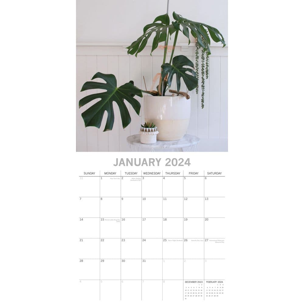 House Plants 2024 Wall Calendar Alternate Image 2