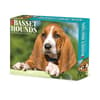 image Just Basset Hounds 2025 Desk Calendar