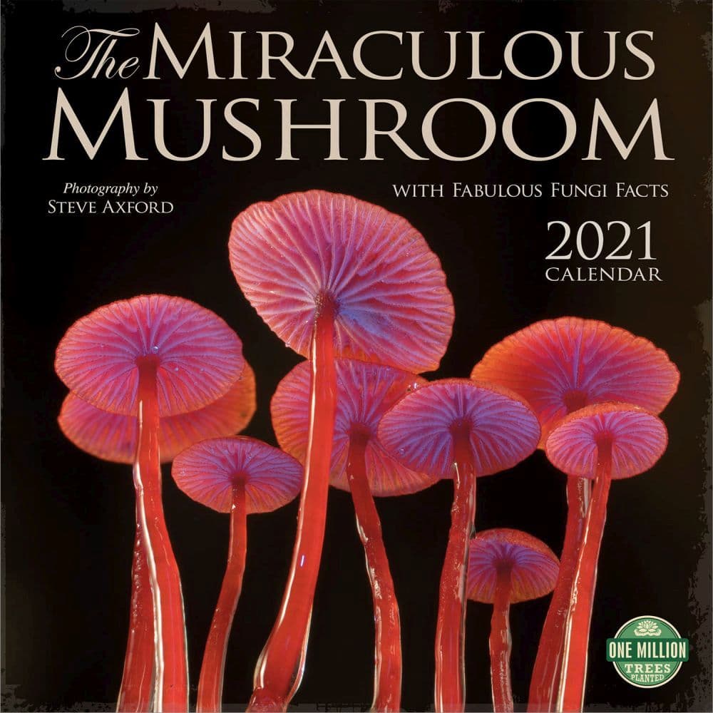 2021 Miraculous Mushroom Wall Calendar