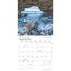 image Canadian Wilderness 2025 Wall Calendar interior