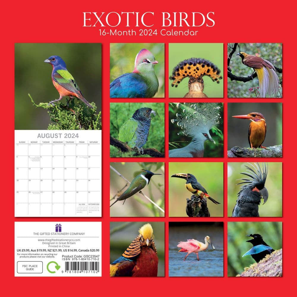 Exotic Birds 2024 Wall Calendar