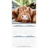 image Highland Cows Photo 2026 Wall Calendar