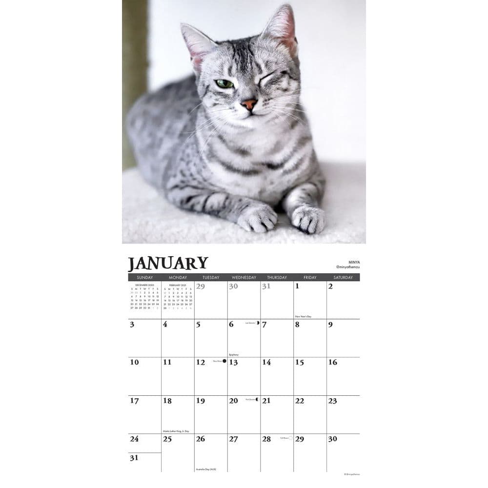 Happy Cats Wall Calendar - Calendars.com