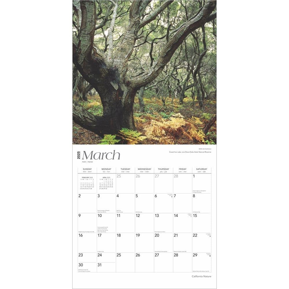 California Nature 2025 Wall Calendar Second Alternate Image