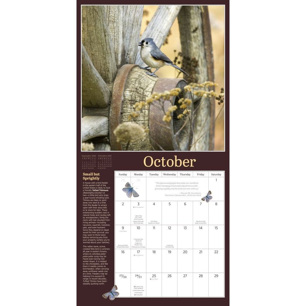 Audubon Birds In The Garden 2022 Wall Calendar - Calendars.com