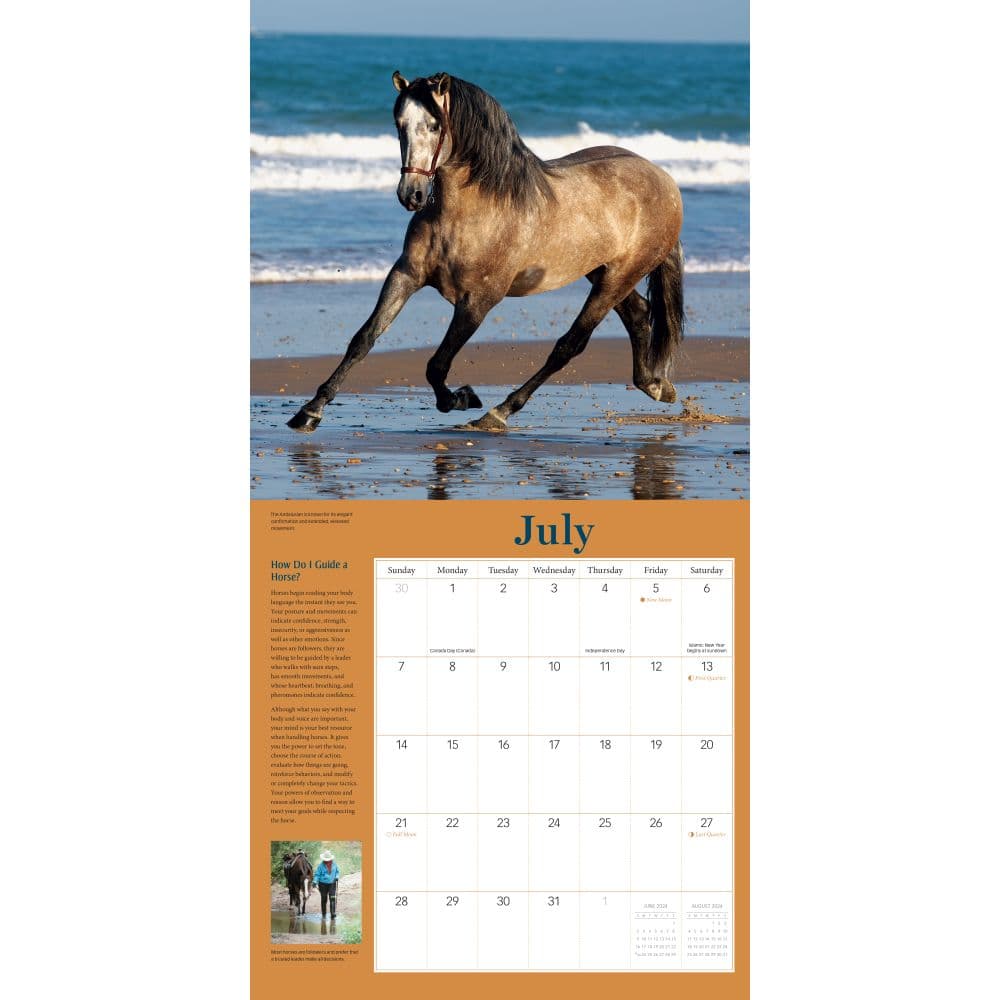 How to Think Like a Horse 2024 Wall Calendar First Alternate Image width=&quot;1000&quot; height=&quot;1000&quot;