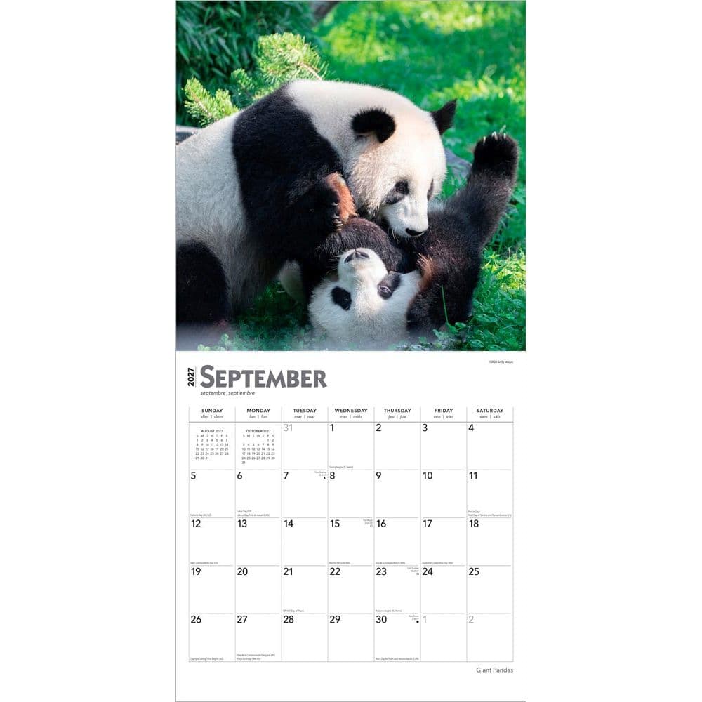 Pandas 2027 Wall Calendar Third Alternate Image