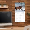 image Horses Photo 2025 Mini Wall Calendar