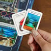 image Clue Conspiracy Eighth Alternate Image