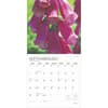 image Wildflowers Plato 2025 Wall Calendar