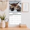 image Cats Photo 2025 Wall Calendar