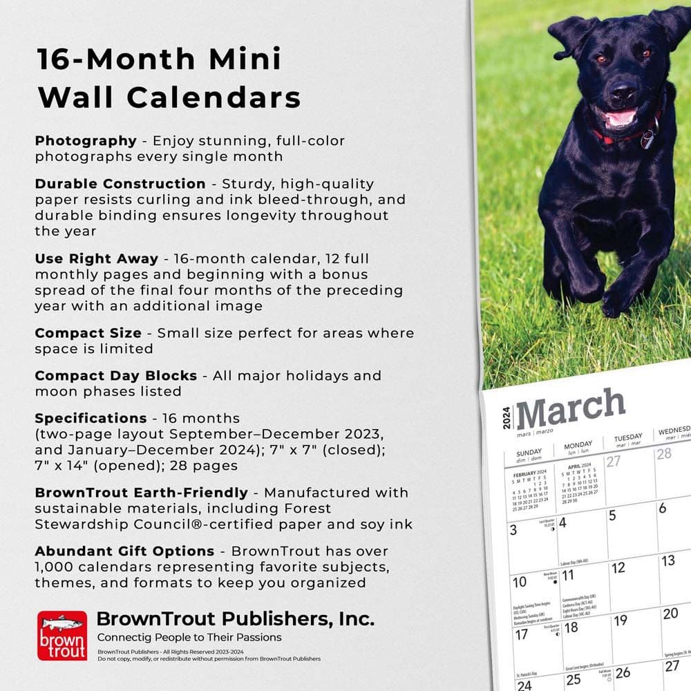 Lab Black Puppies 2024 Mini Wall Calendar Fourth Alternate Image width=&quot;1000&quot; height=&quot;1000&quot;