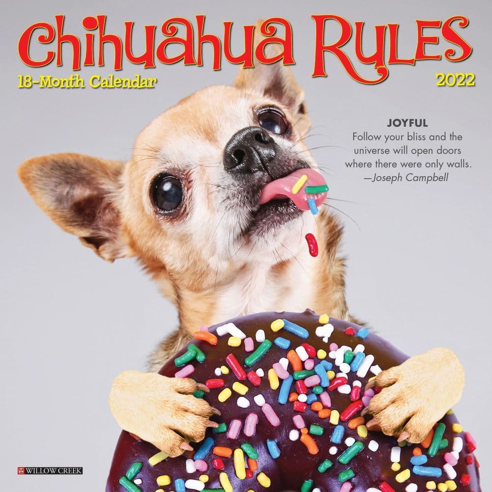 Chihuahuas Schedule 2022 Chihuahua Rules 2022 Mini Wall Calendar - Calendars.com