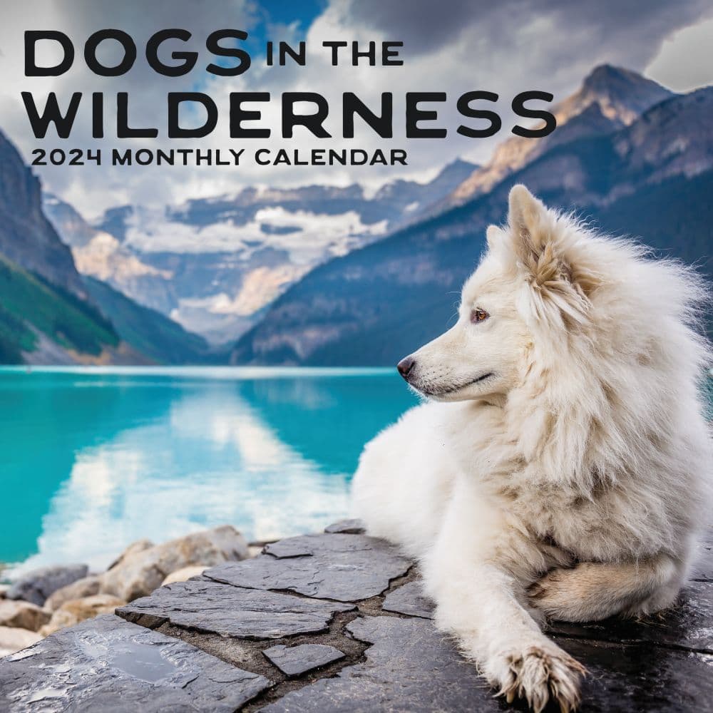 Dogs In The Wilderness 2024 Wall Calendar Calendars Com   59207b63 A6a2 4f79 A5b3 C9deb3618224