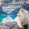 image Dogs in the Wilderness 2024 Wall Calendar Main Product Image width=&quot;1000&quot; height=&quot;1000&quot;