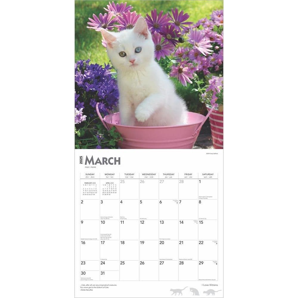 I Love Kittens 2025 Wall Calendar Second Alternate Image