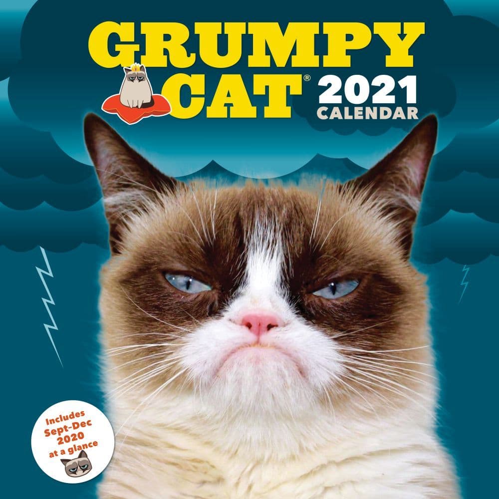 Grumpy Cat Wall Calendar Calendars