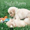 image Playful Puppies 2024 Wall Calendar Main Product Image width=&quot;1000&quot; height=&quot;1000&quot;