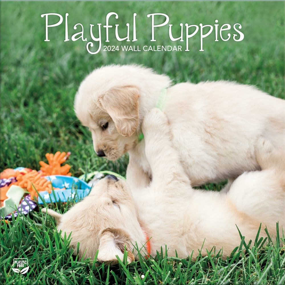 Playful Puppies 2024 Wall Calendar Main Product Image width=&quot;1000&quot; height=&quot;1000&quot;
