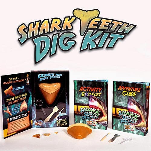 Dr Cool Sciene Shark Teeth Dig Kit Alternate Image 1