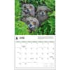 image Owls WWF 2025 Wall Calendar Second Alternate Image width=&quot;1000&quot; height=&quot;1000&quot;