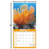 image Coral Reef 2024 Wall Calendar Fourth Alternate 
Image width=&quot;1000&quot; height=&quot;1000&quot;