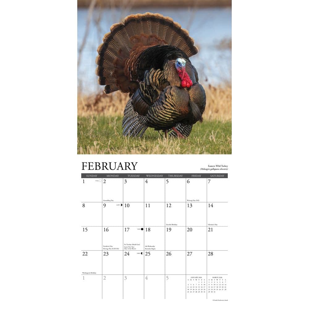 Northwoods Wildlife 2026 Wall Calendar Second Alternate Image