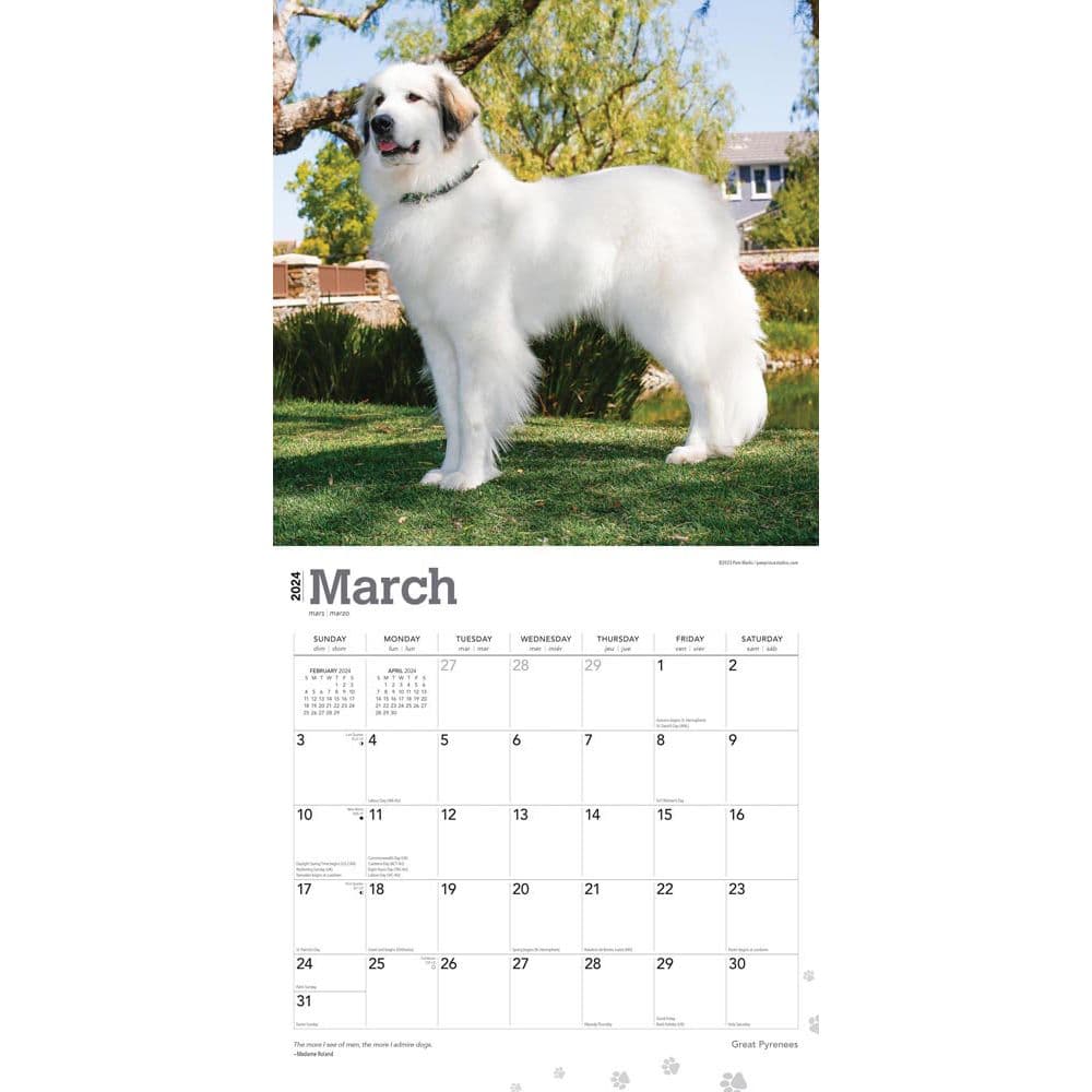Great Pyrenees 2024 Wall Calendar Second Alternate Image width=&quot;1000&quot; height=&quot;1000&quot;