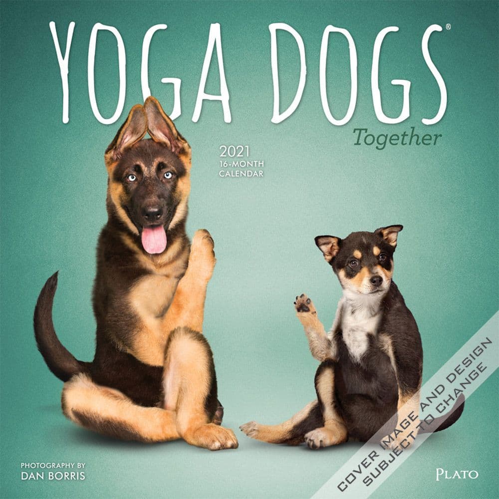 Yoga Dogs Together Wall Calendar