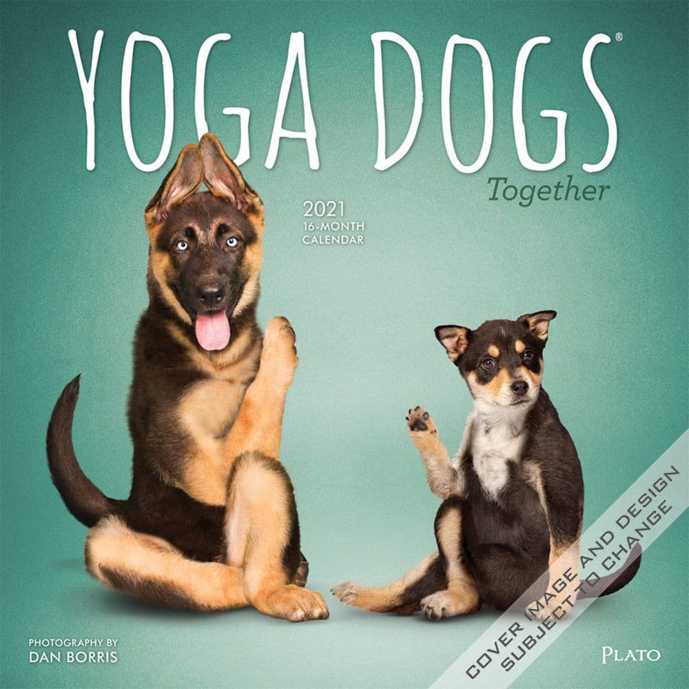 Yoga Dogs Calendar 2024 Neet Deena Eveleen