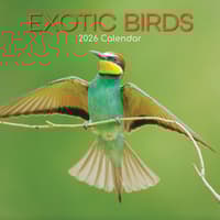 image Exotic Birds 2026 Wall Calendar  Main Image
