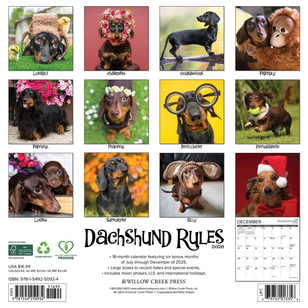 Dachshund Rules 2026 Wall Calendar First Alternate Image