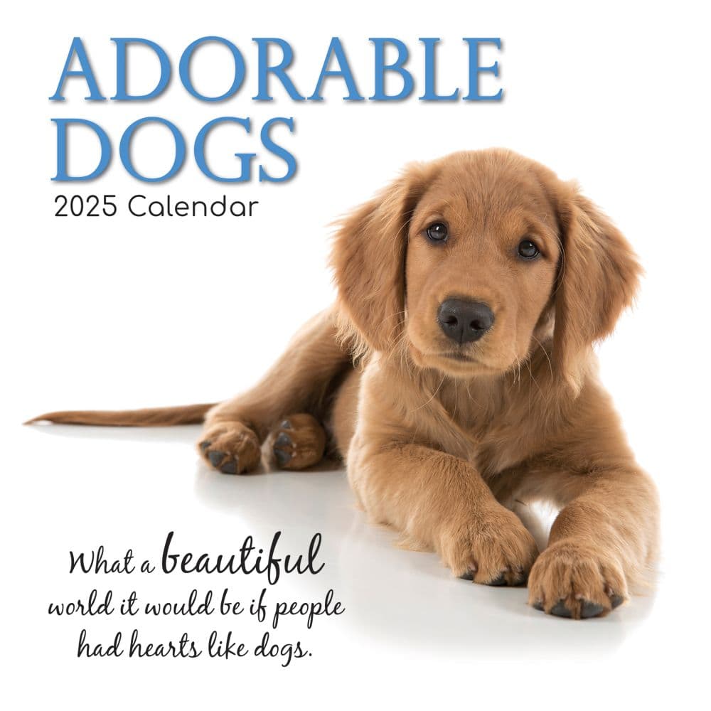 Adorable Dogs 2025 Wall Calendar Main Product Image width=&quot;1000&quot; height=&quot;1000&quot;