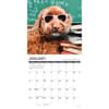 image What Dogs Teach Us 2026 Wall Calendar Second Alternate Image