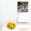 image Wolves 2024 Wall Calendar Third Alternate Image width=&quot;1000&quot; height=&quot;1000&quot;