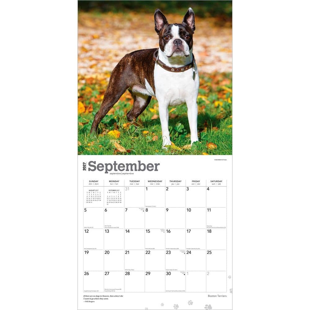 Boston Terriers 2027 Wall Calendar Third Alternate Image
