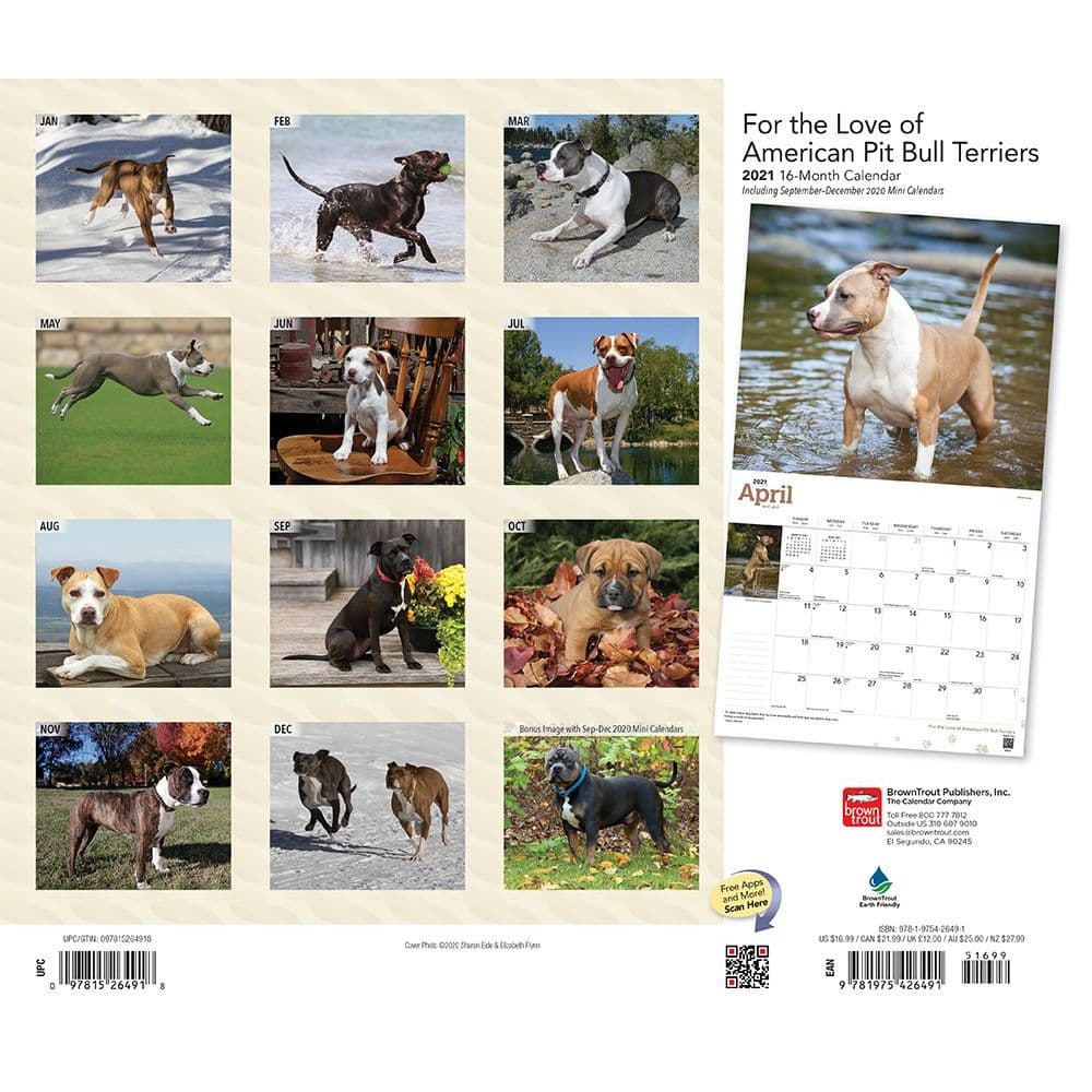 by BrownTrout 2019 Pit Bull Terriers Wall Calendar 